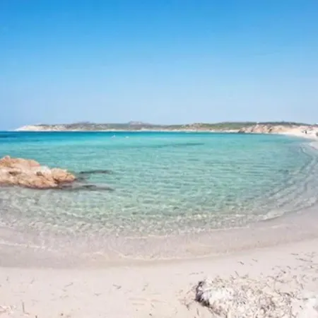 Majori Paradise